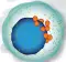 Cancer NK Icon