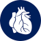Cardiovascular Icon