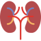 Chronic Kidney Icon