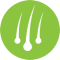 Hair Loss Icon