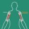 Muscular Dystrophy Icon