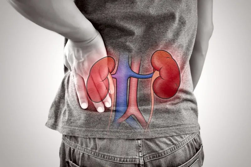 Kidney failure cellular regenerative therapy and nephron rescue