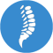 Spinal Cord Injury Icon